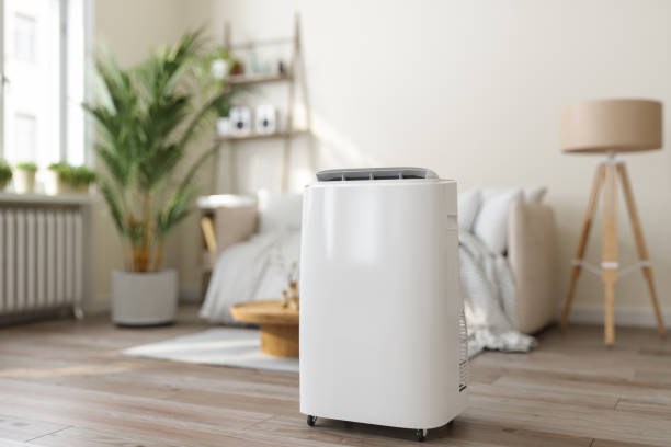 Professional HVAC in Picture Rocks, AZ